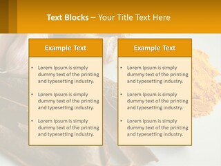 A White Plate Topped With Different Types Of Spices PowerPoint Template