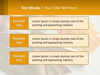 A White Plate Topped With Different Types Of Spices PowerPoint Template