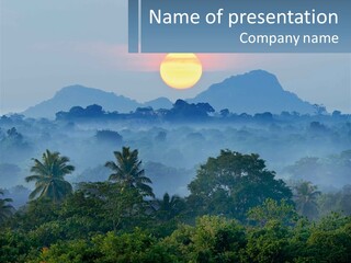 A Sunset Over A Forest With Trees And Mountains In The Background PowerPoint Template