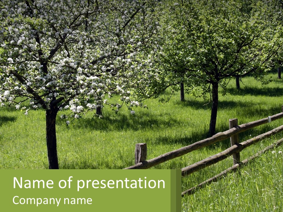 A Field Of Trees With A Fence In The Foreground PowerPoint Template
