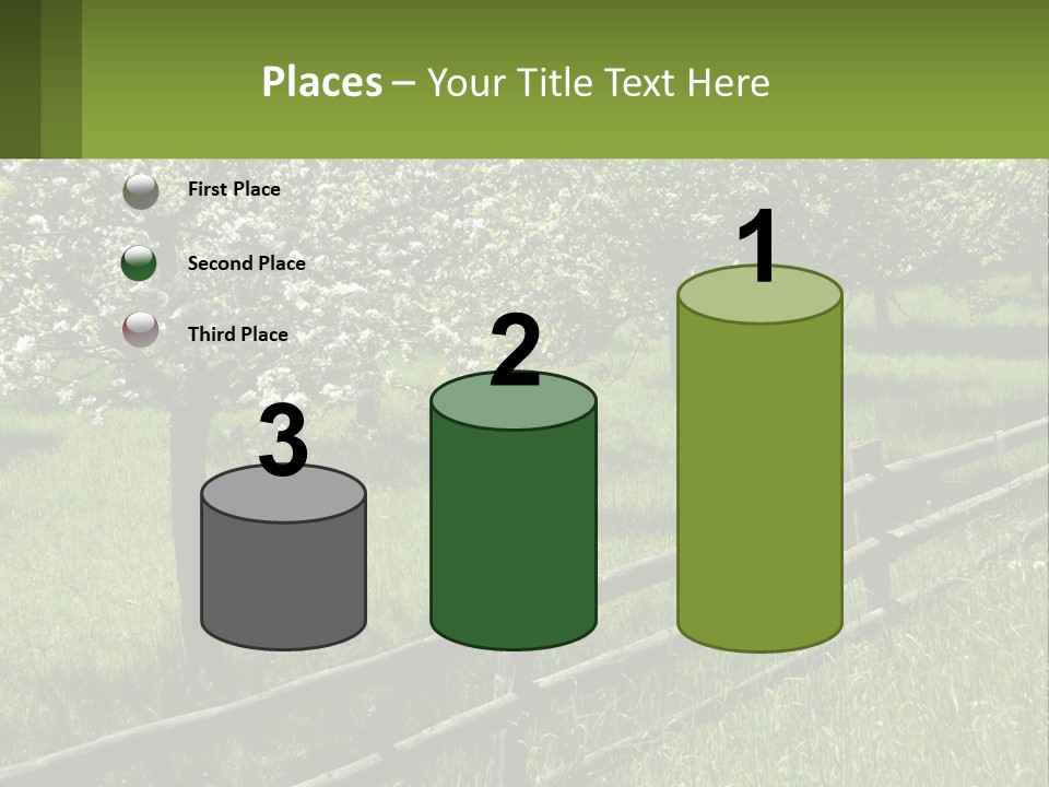 A Field Of Trees With A Fence In The Foreground PowerPoint Template