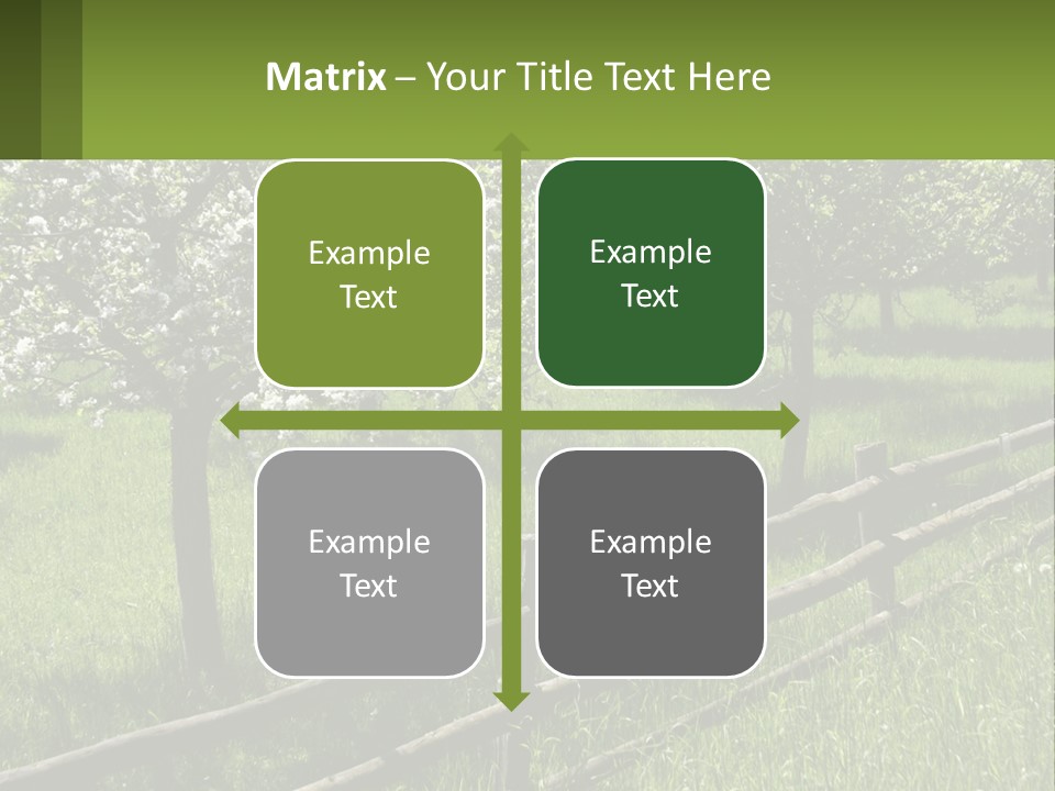 A Field Of Trees With A Fence In The Foreground PowerPoint Template