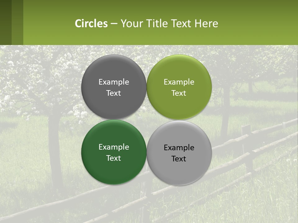 A Field Of Trees With A Fence In The Foreground PowerPoint Template