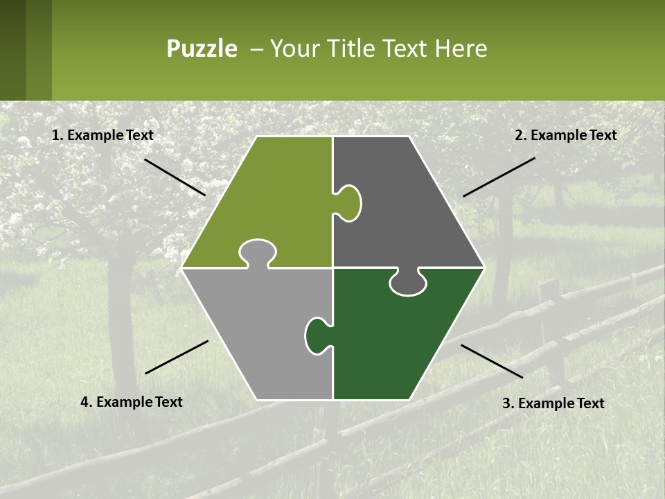 A Field Of Trees With A Fence In The Foreground PowerPoint Template