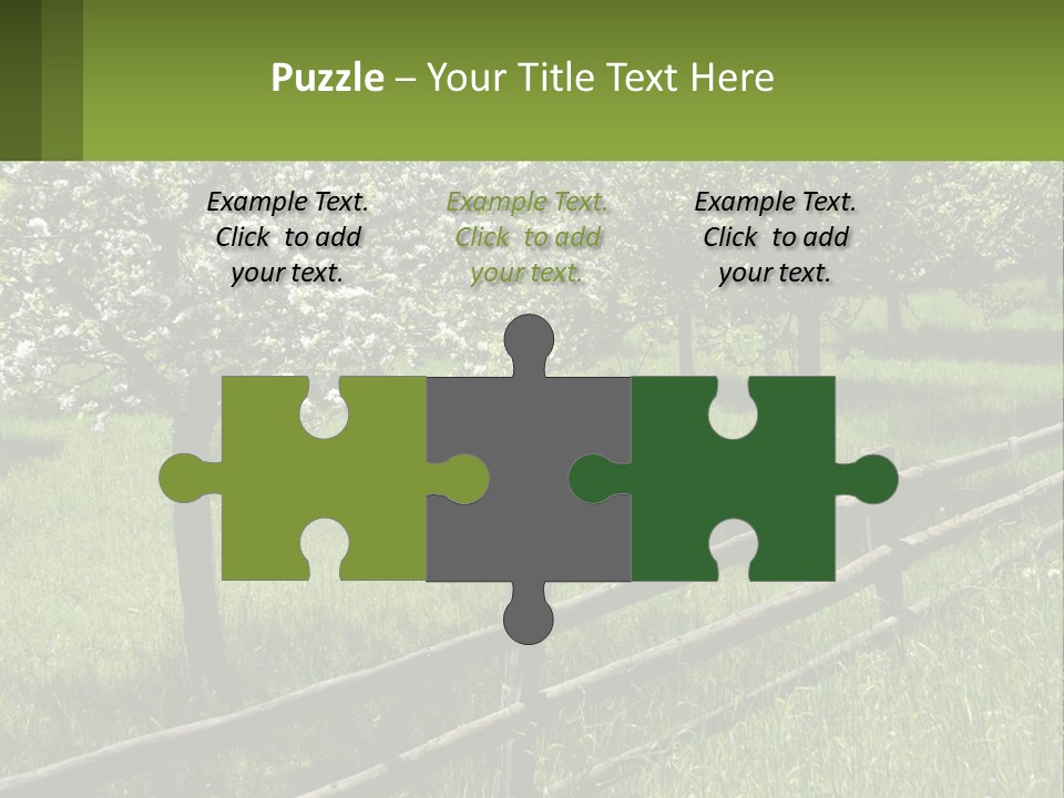 A Field Of Trees With A Fence In The Foreground PowerPoint Template