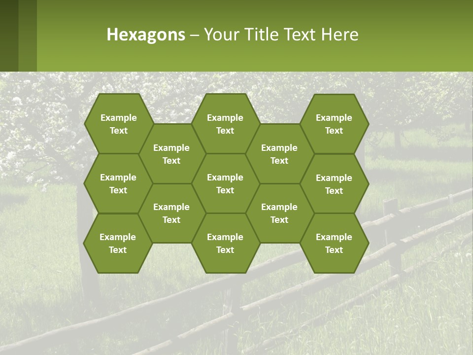 A Field Of Trees With A Fence In The Foreground PowerPoint Template