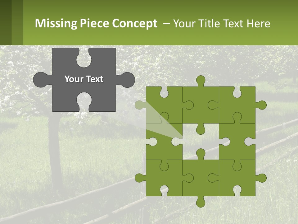 A Field Of Trees With A Fence In The Foreground PowerPoint Template