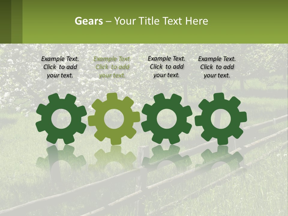 A Field Of Trees With A Fence In The Foreground PowerPoint Template