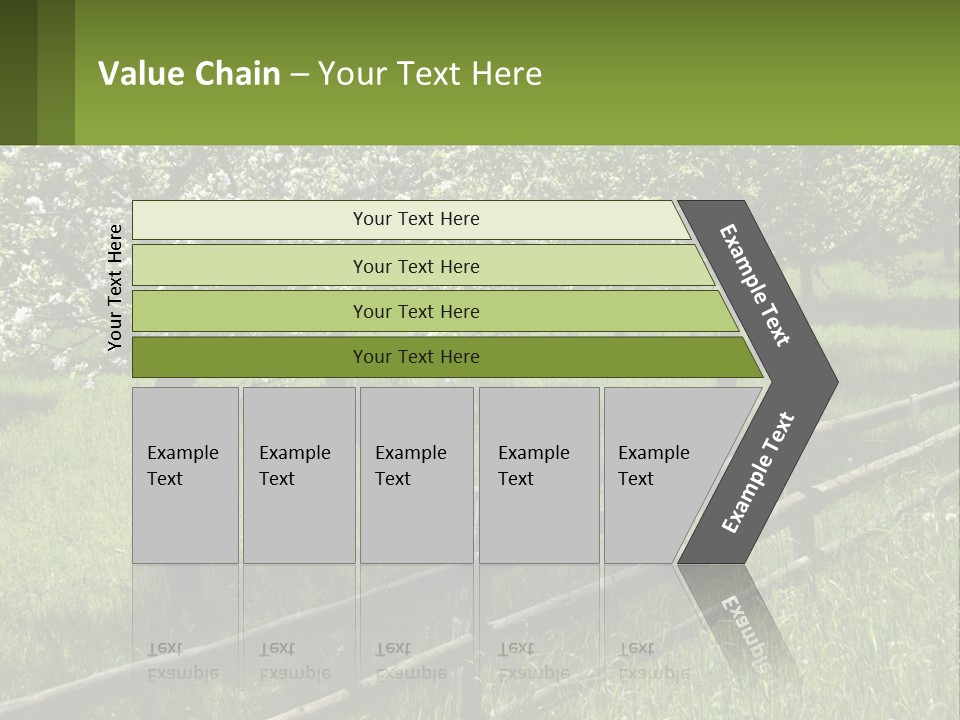 A Field Of Trees With A Fence In The Foreground PowerPoint Template