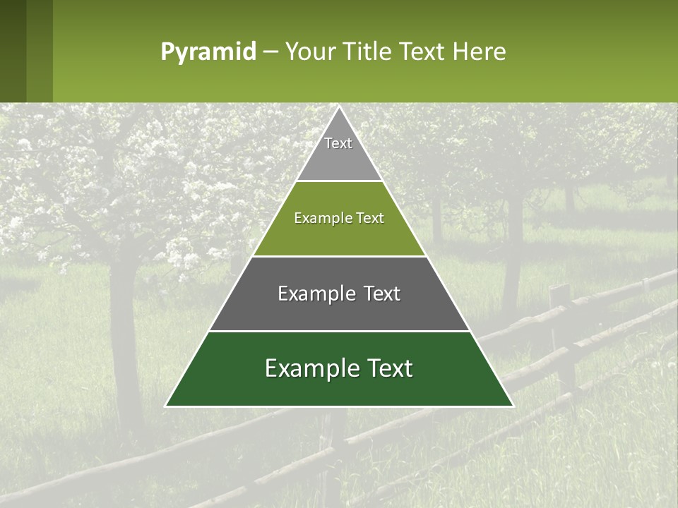 A Field Of Trees With A Fence In The Foreground PowerPoint Template