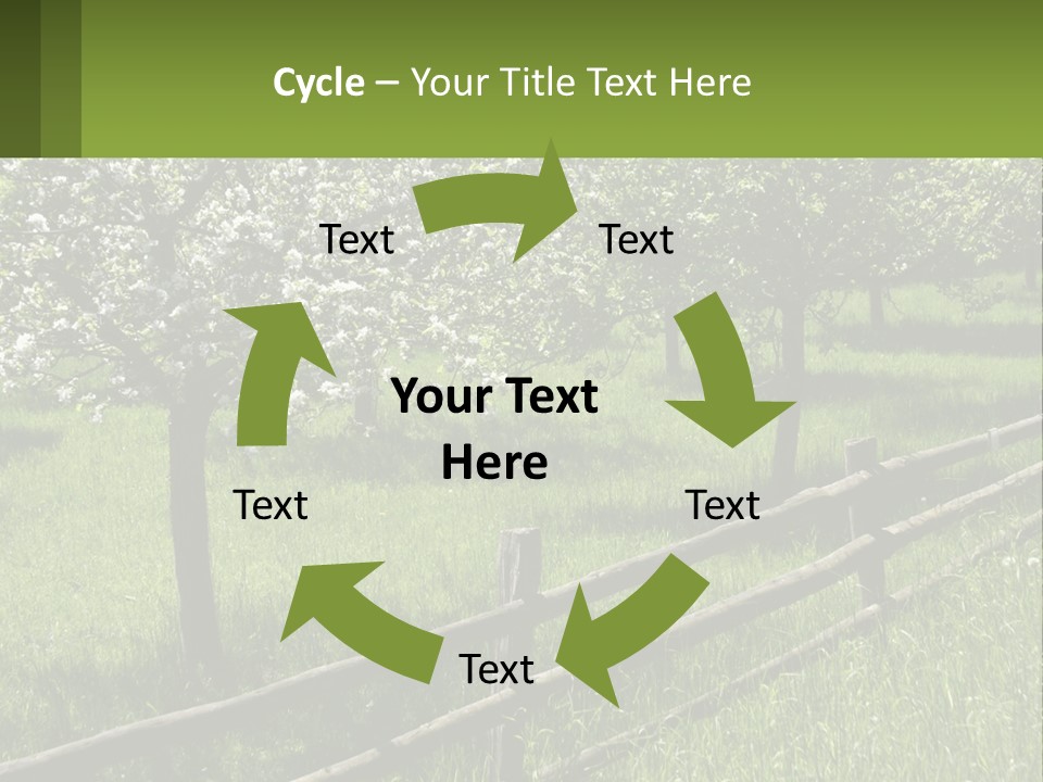 A Field Of Trees With A Fence In The Foreground PowerPoint Template
