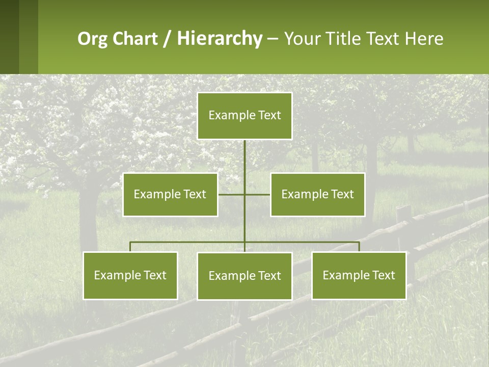 A Field Of Trees With A Fence In The Foreground PowerPoint Template