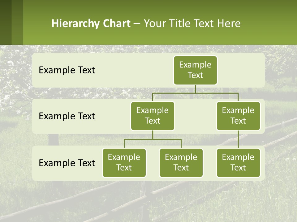 A Field Of Trees With A Fence In The Foreground PowerPoint Template