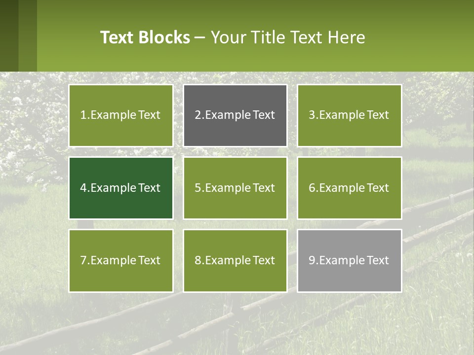 A Field Of Trees With A Fence In The Foreground PowerPoint Template