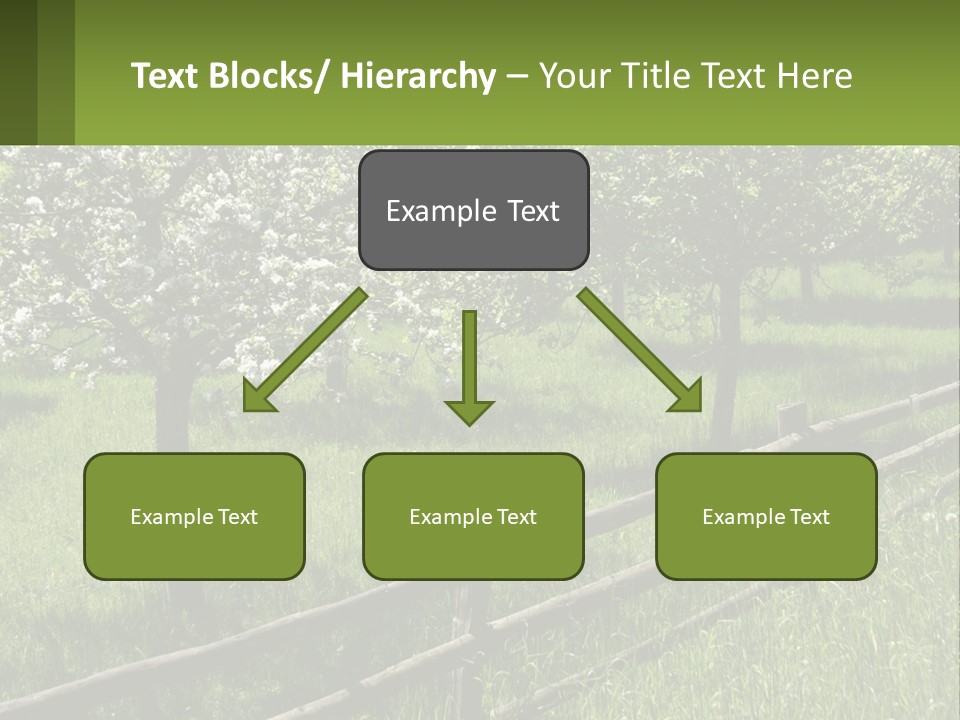 A Field Of Trees With A Fence In The Foreground PowerPoint Template
