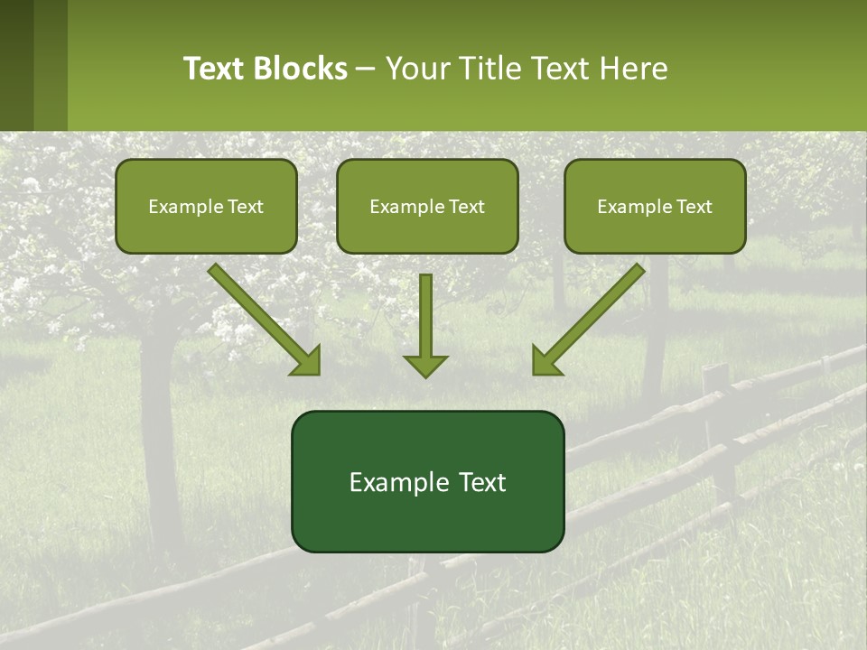 A Field Of Trees With A Fence In The Foreground PowerPoint Template