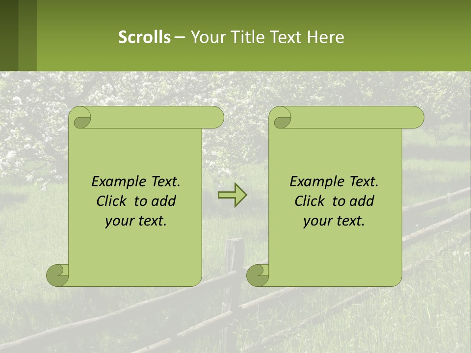 A Field Of Trees With A Fence In The Foreground PowerPoint Template