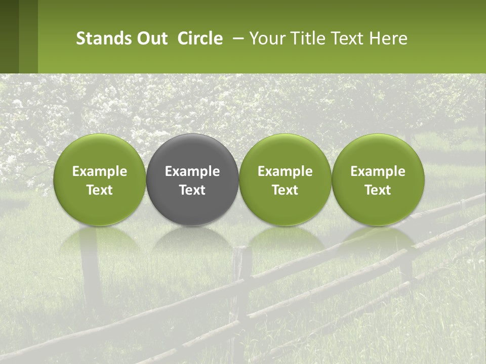 A Field Of Trees With A Fence In The Foreground PowerPoint Template