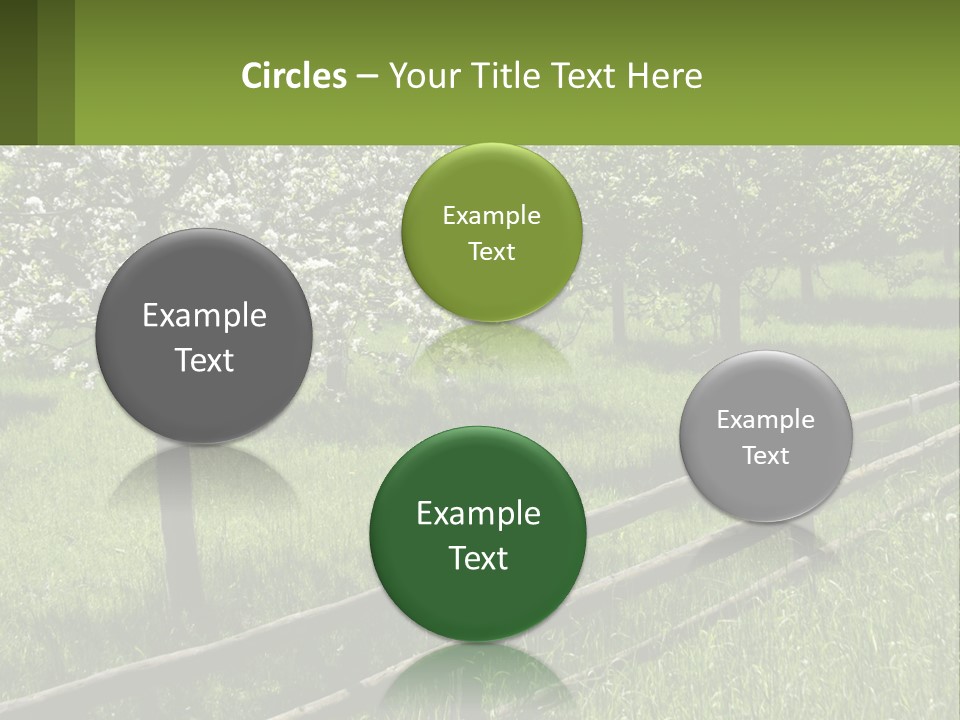 A Field Of Trees With A Fence In The Foreground PowerPoint Template