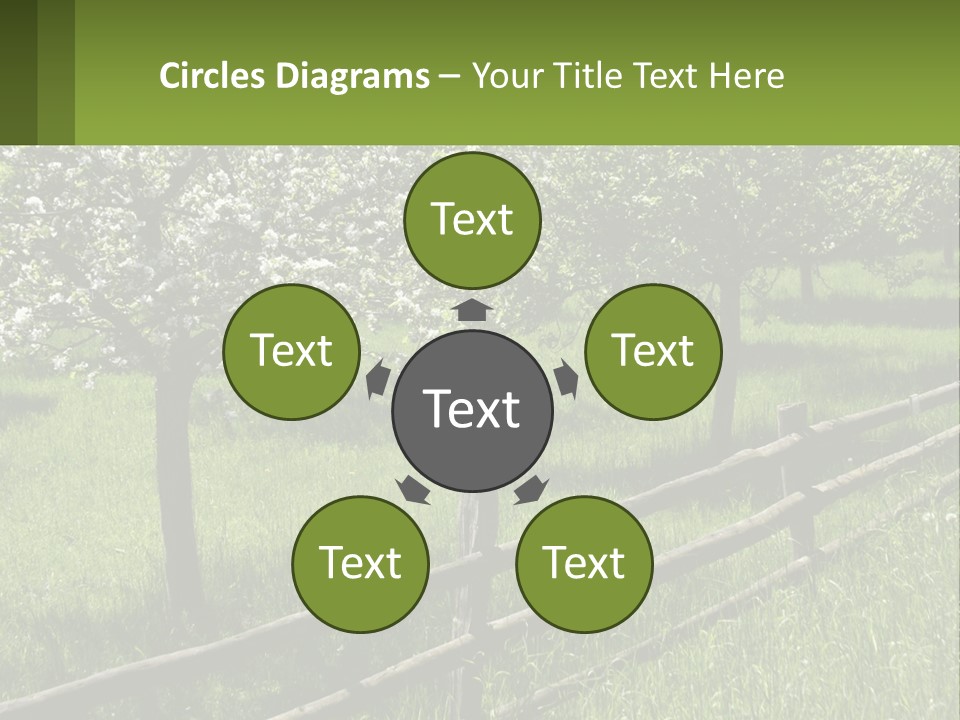 A Field Of Trees With A Fence In The Foreground PowerPoint Template