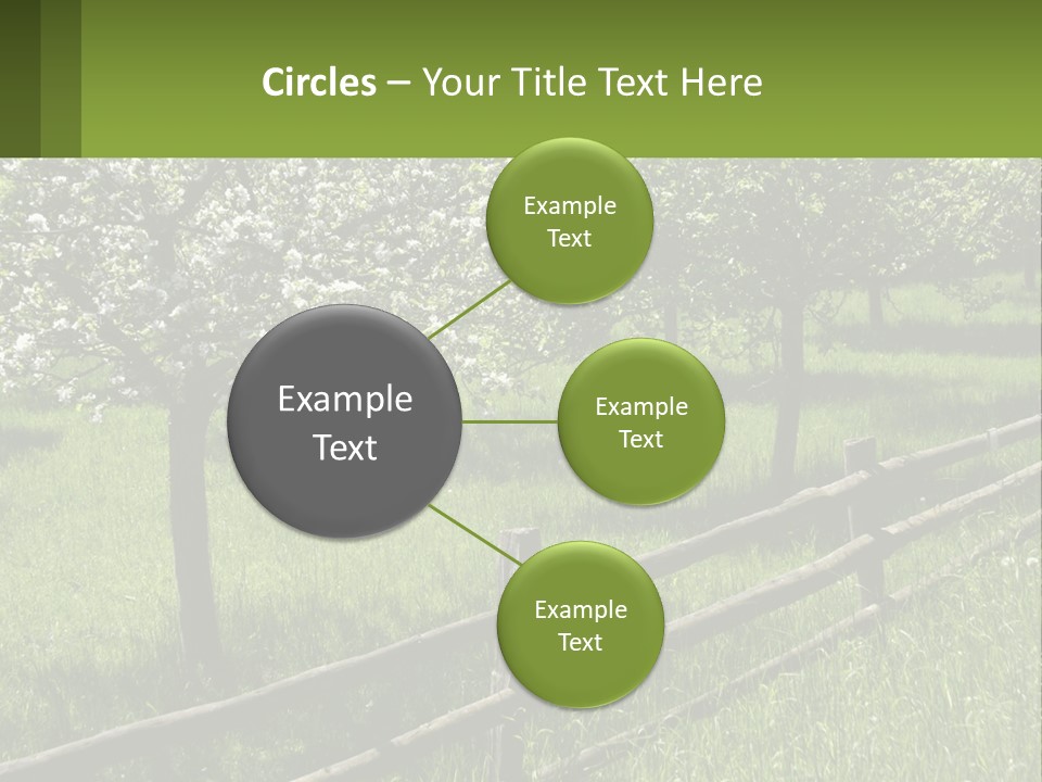 A Field Of Trees With A Fence In The Foreground PowerPoint Template