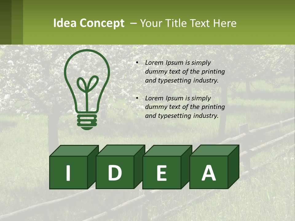 A Field Of Trees With A Fence In The Foreground PowerPoint Template