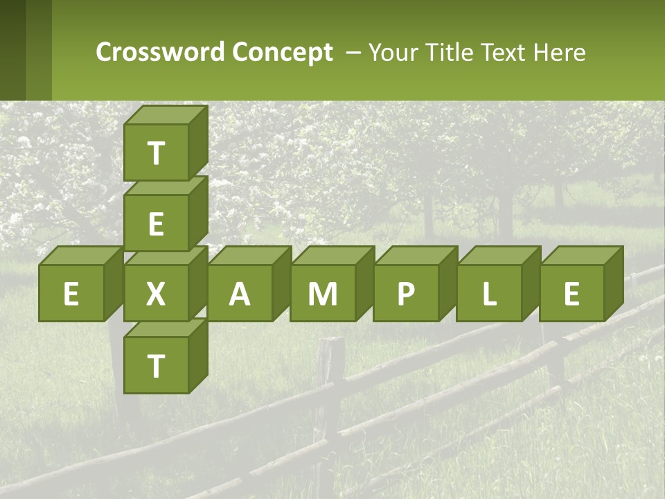 A Field Of Trees With A Fence In The Foreground PowerPoint Template