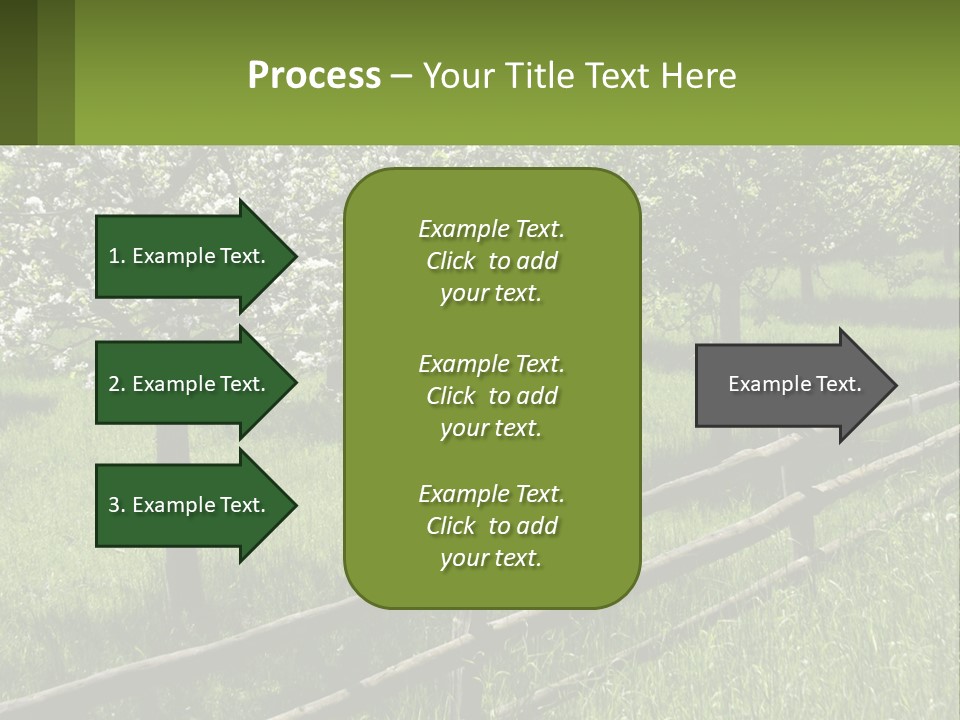 A Field Of Trees With A Fence In The Foreground PowerPoint Template