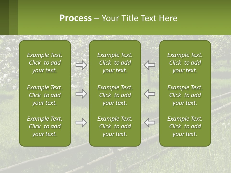 A Field Of Trees With A Fence In The Foreground PowerPoint Template