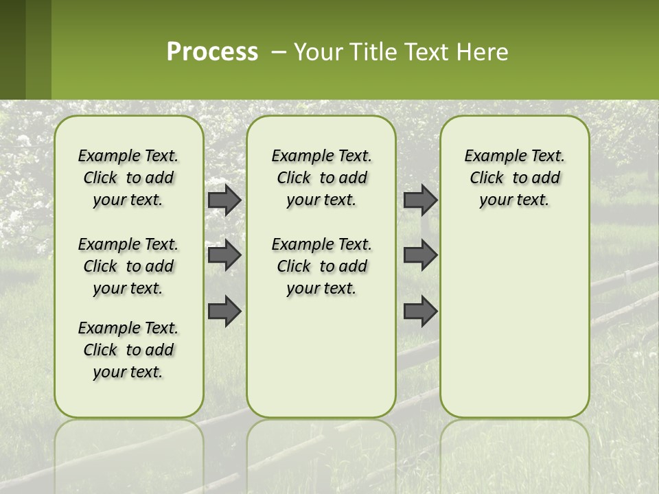 A Field Of Trees With A Fence In The Foreground PowerPoint Template