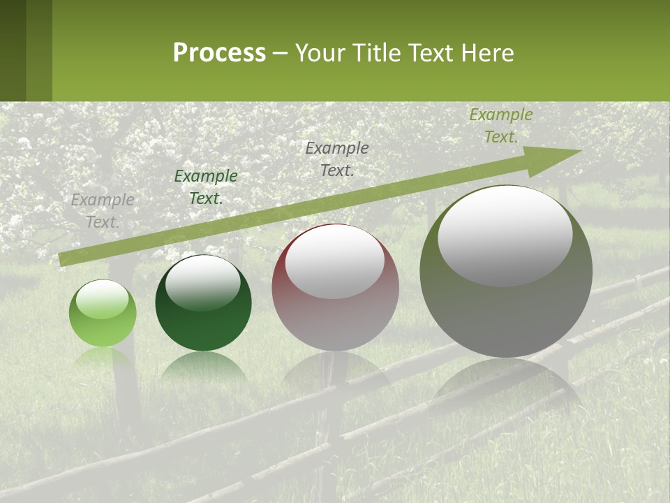 A Field Of Trees With A Fence In The Foreground PowerPoint Template