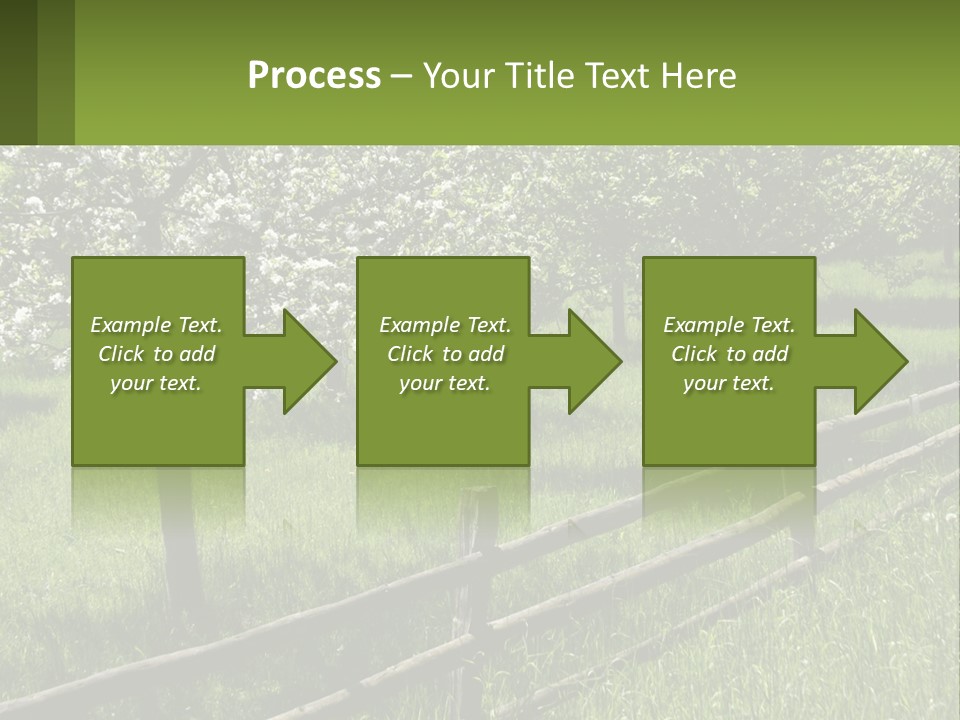 A Field Of Trees With A Fence In The Foreground PowerPoint Template
