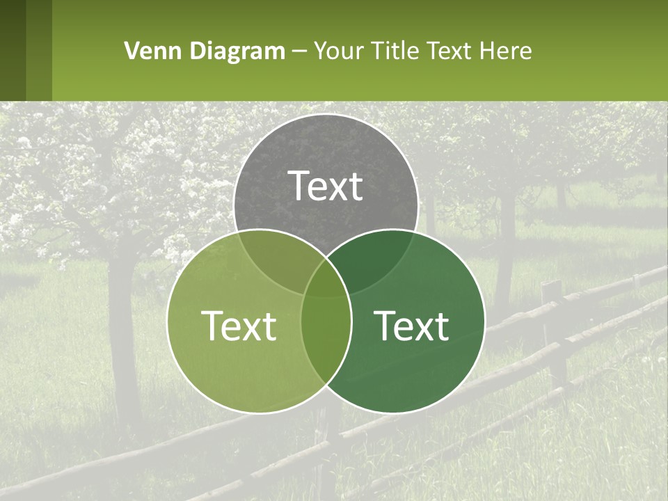 A Field Of Trees With A Fence In The Foreground PowerPoint Template