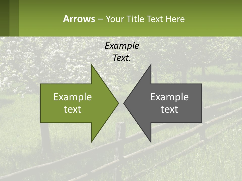 A Field Of Trees With A Fence In The Foreground PowerPoint Template