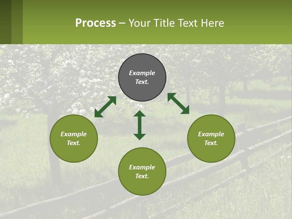 A Field Of Trees With A Fence In The Foreground PowerPoint Template