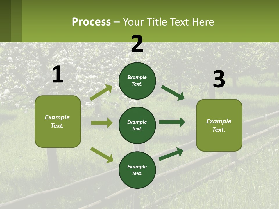 A Field Of Trees With A Fence In The Foreground PowerPoint Template