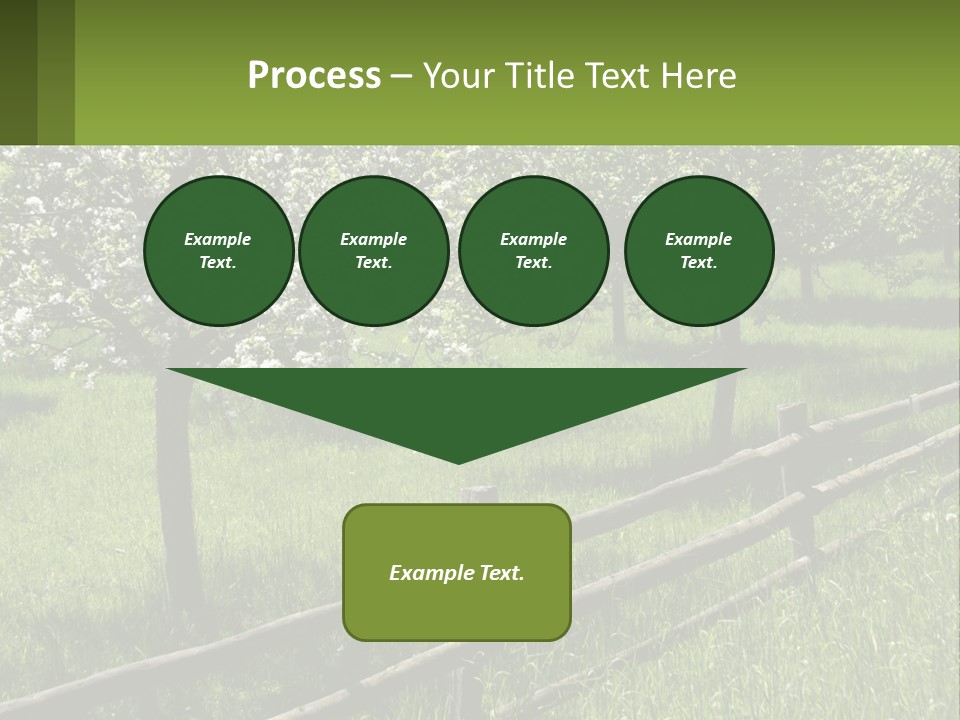 A Field Of Trees With A Fence In The Foreground PowerPoint Template