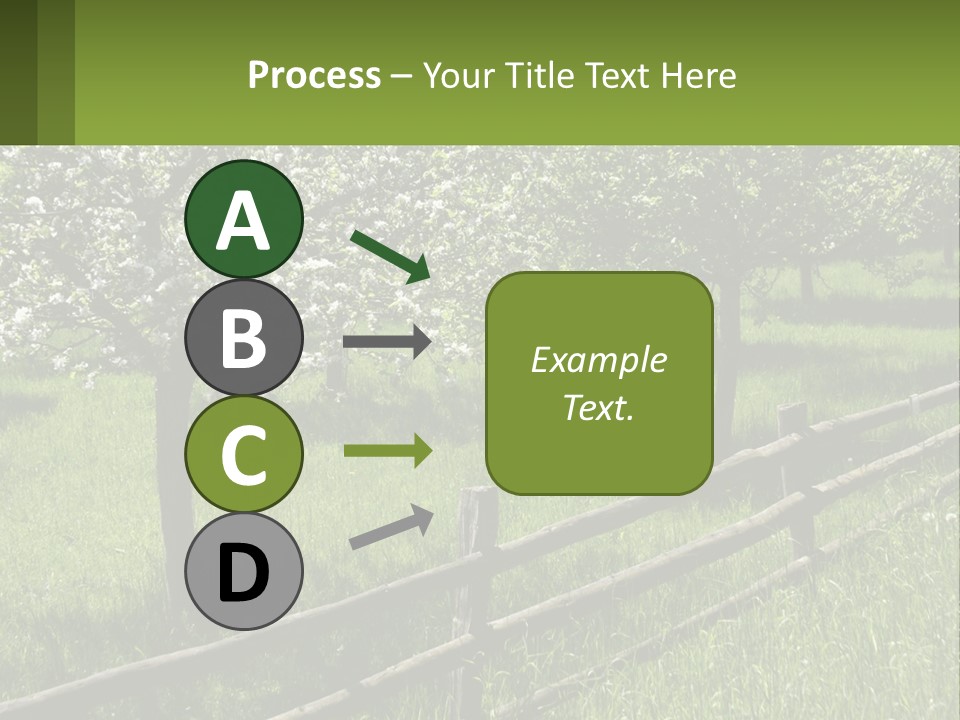A Field Of Trees With A Fence In The Foreground PowerPoint Template