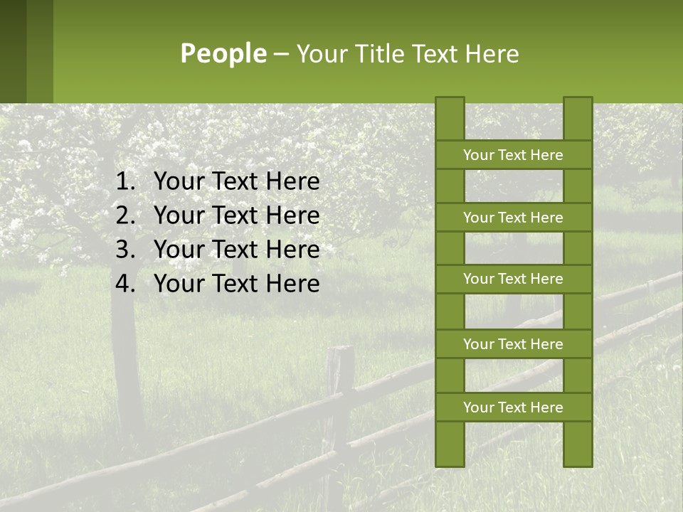 A Field Of Trees With A Fence In The Foreground PowerPoint Template