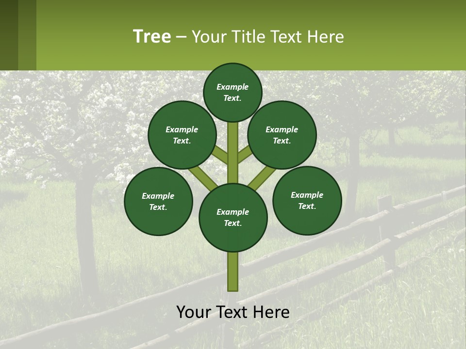 A Field Of Trees With A Fence In The Foreground PowerPoint Template