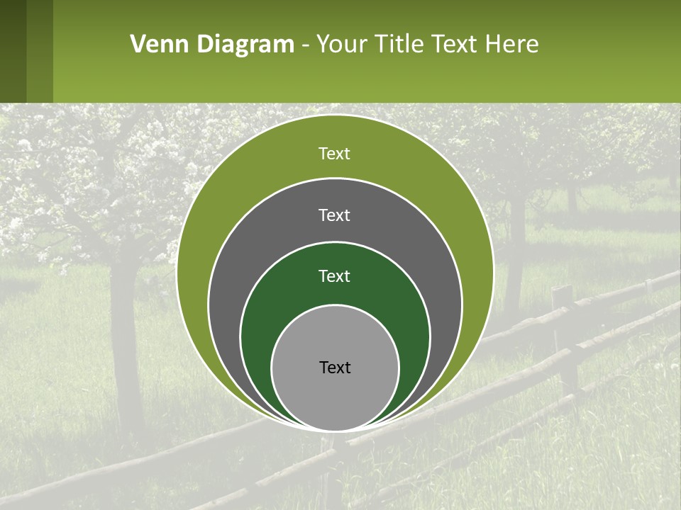 A Field Of Trees With A Fence In The Foreground PowerPoint Template