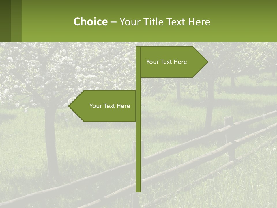 A Field Of Trees With A Fence In The Foreground PowerPoint Template