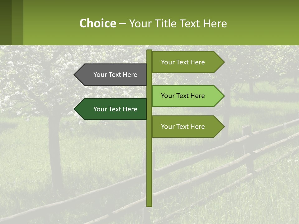 A Field Of Trees With A Fence In The Foreground PowerPoint Template