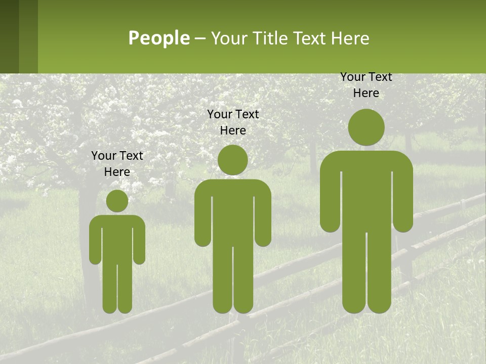A Field Of Trees With A Fence In The Foreground PowerPoint Template