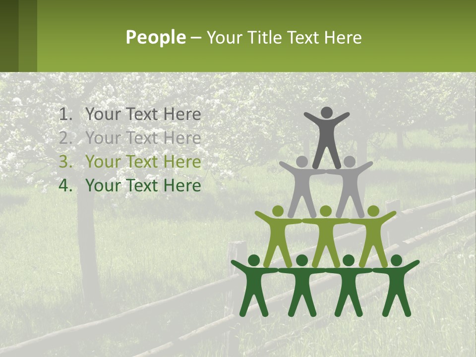 A Field Of Trees With A Fence In The Foreground PowerPoint Template