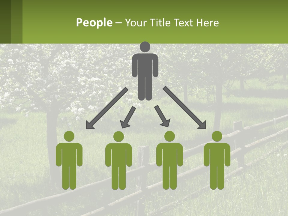 A Field Of Trees With A Fence In The Foreground PowerPoint Template