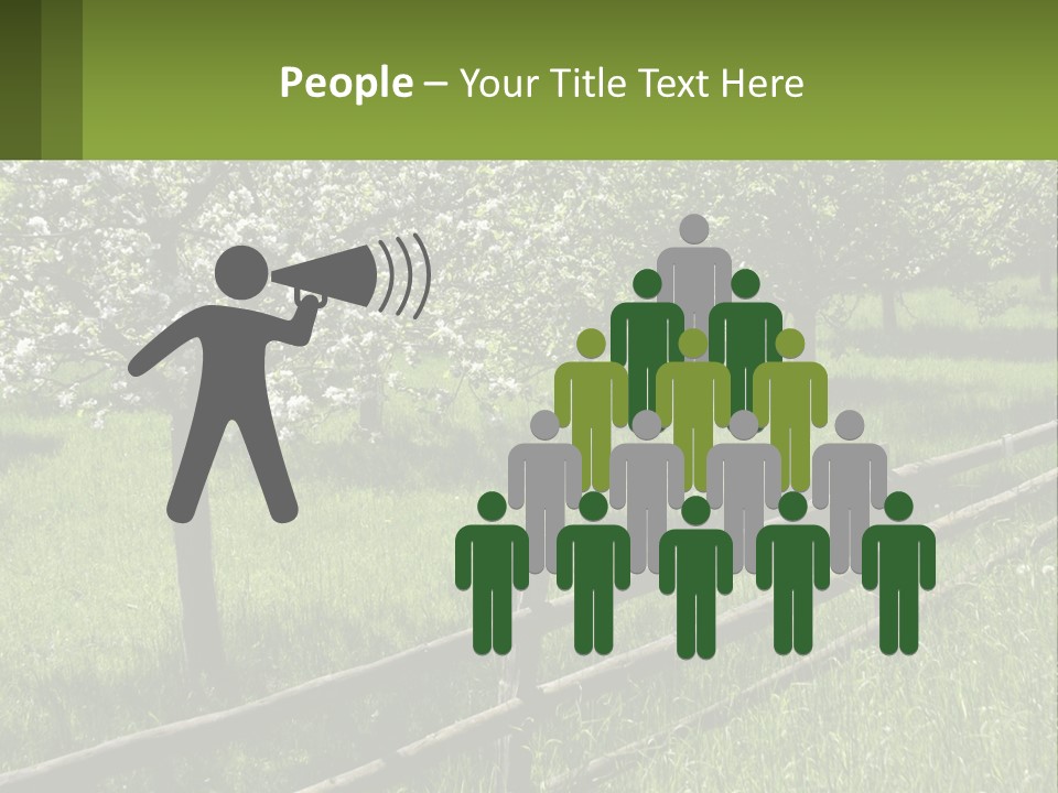 A Field Of Trees With A Fence In The Foreground PowerPoint Template