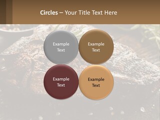 A Piece Of Steak With A Sprig Of Rosemary On Top Of It PowerPoint Template
