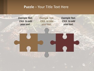 A Piece Of Steak With A Sprig Of Rosemary On Top Of It PowerPoint Template