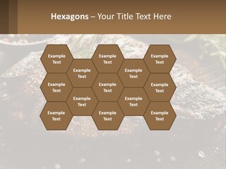 A Piece Of Steak With A Sprig Of Rosemary On Top Of It PowerPoint Template